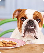 Vegetarische Hundekekse