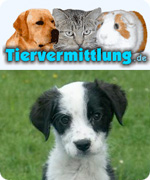 Tiervermittlung